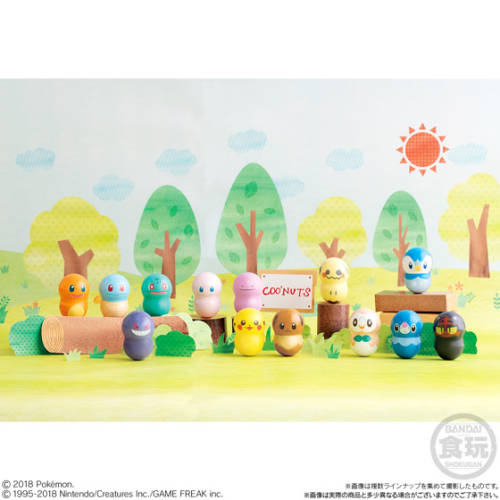 ✨CooNuts Pokémon & Candy  Shokugan Bandai